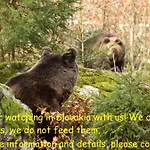 Privat Luna - Vysoke Tatry Nová Lesná