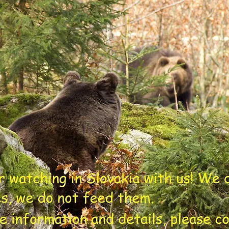 Privat Luna - Vysoké Tatry Nová Lesná